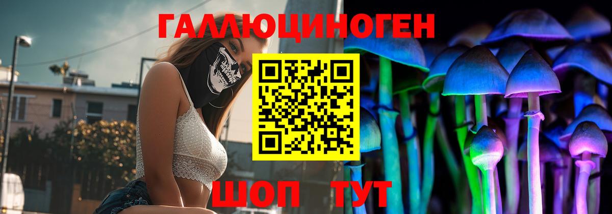 Псилоцибиновые грибы Psilocybine cubensis Полысаево